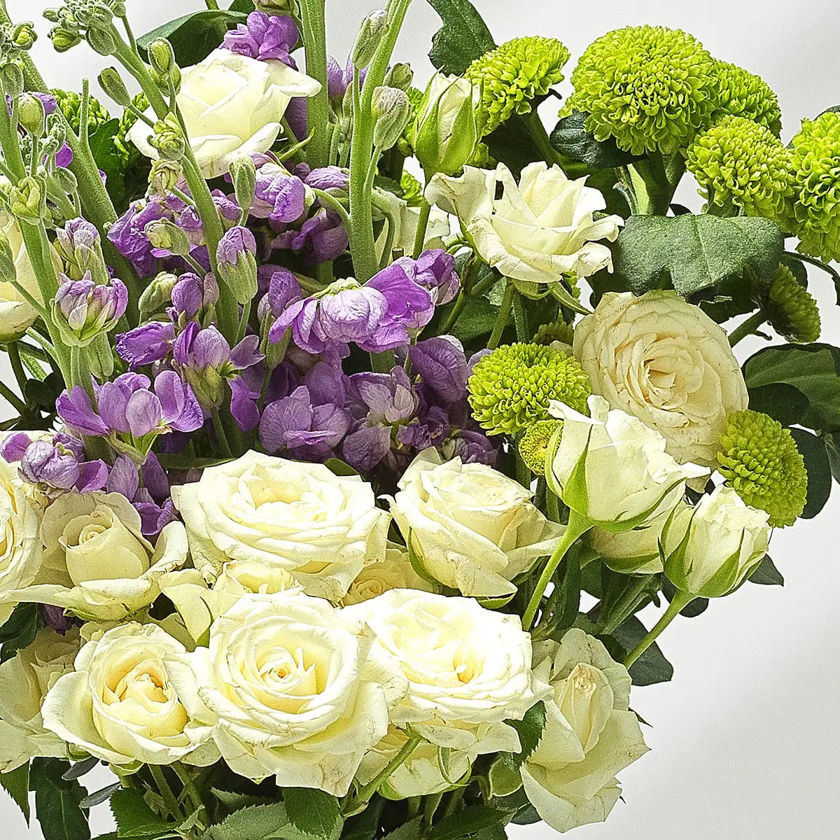 Letterbox Flowers