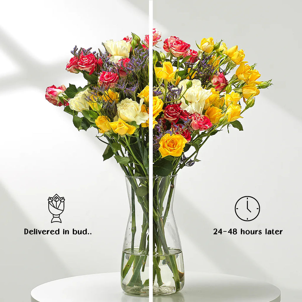 Gentle Petals COMP