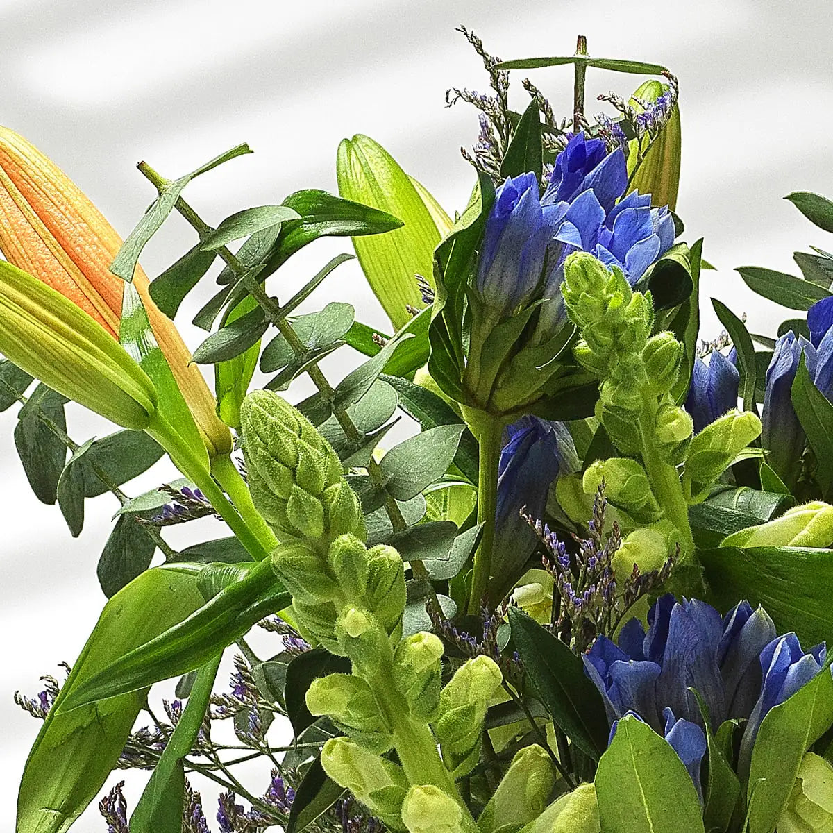 Letterbox Flowers