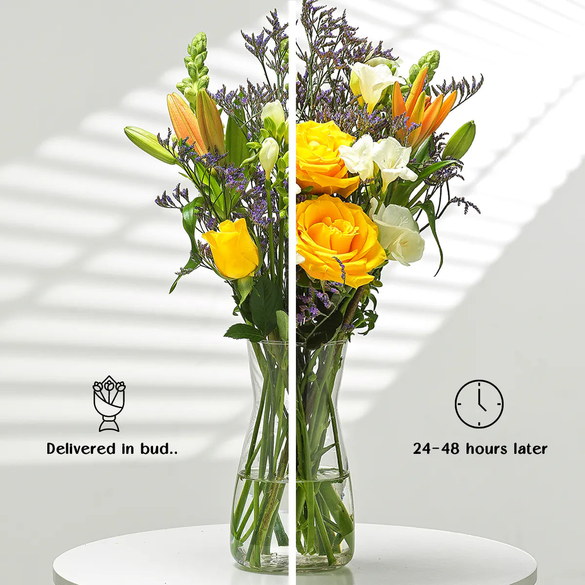 Floral Fantasy COMP