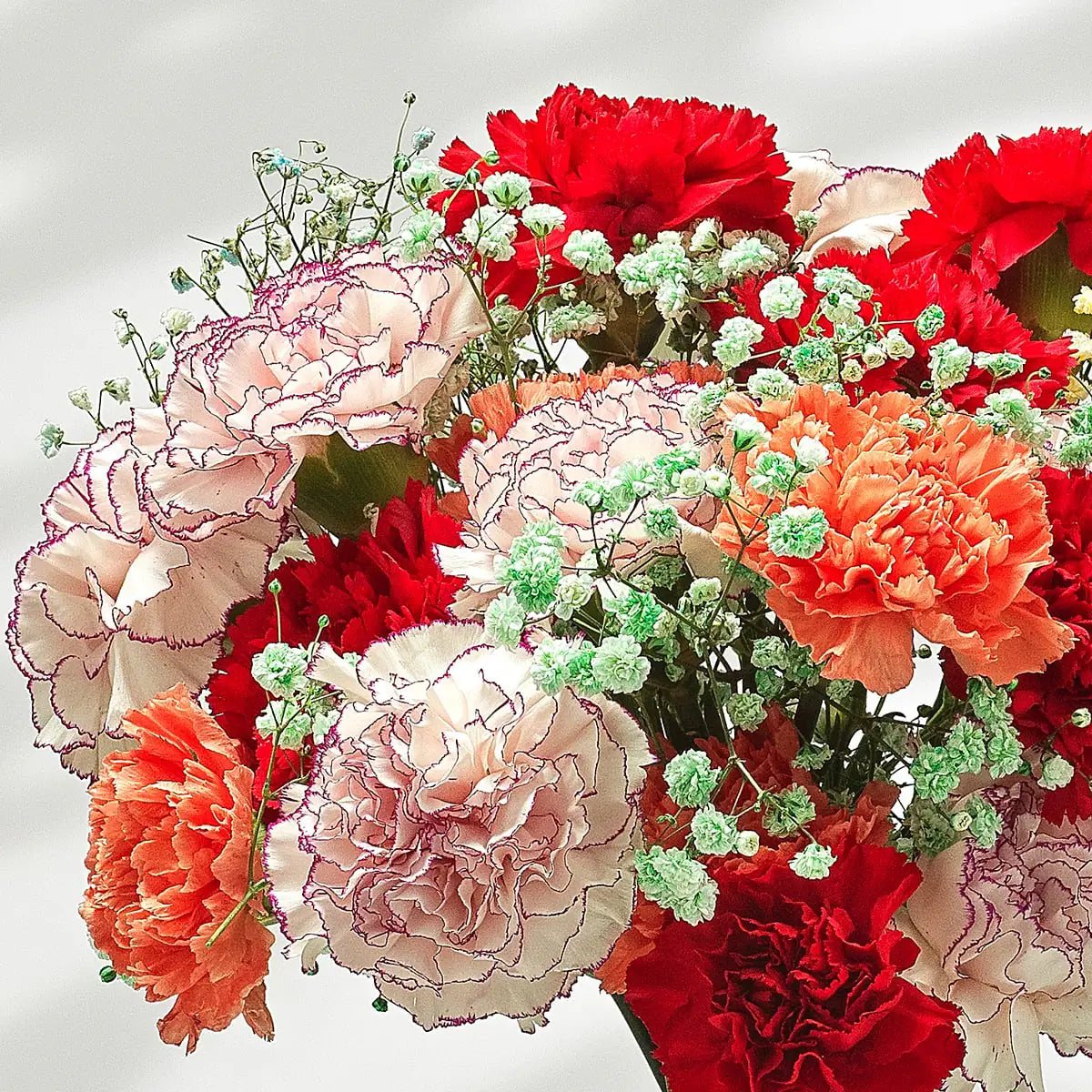 Letterbox Flowers