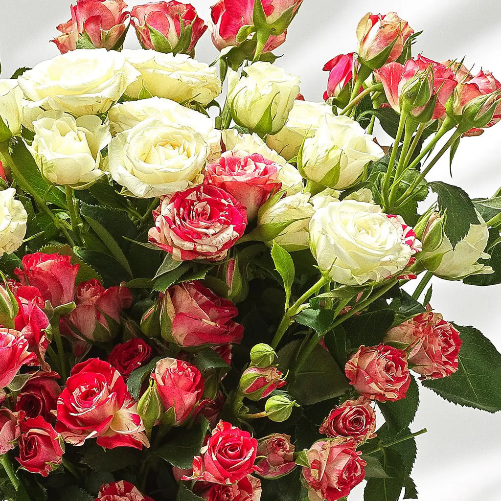 Letterbox Flowers