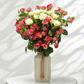 Letterbox Flowers
