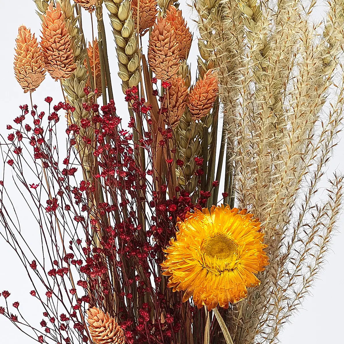 Dry Flowers Gift