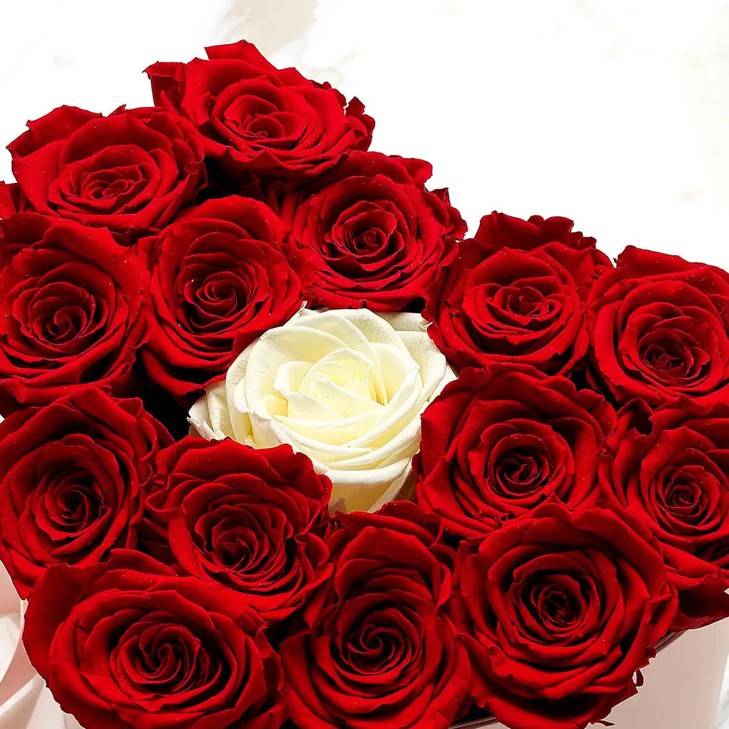 Eternal Romance ZOOM